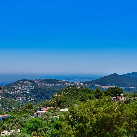 Elvin Villa İslâmlar