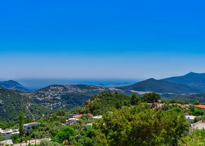 Elvin Villa İslâmlar